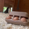 Khay đựng trứng tái sử dụng V1 (6 trứng) - Multi-use egg carton V1 / Mehrwegeierkarton V1 - Thumbnail 1