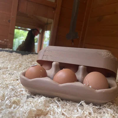 Khay đựng trứng tái sử dụng V1 (6 trứng) - Multi-use egg carton V1 / Mehrwegeierkarton V1