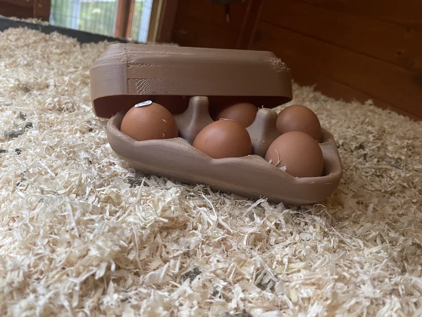 Khay đựng trứng tái sử dụng V1 (6 trứng) - Multi-use egg carton V1 / Mehrwegeierkarton V1 - Image 2