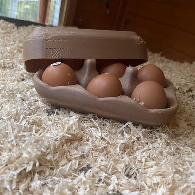 Khay đựng trứng tái sử dụng V1 (6 trứng) - Multi-use egg carton V1 / Mehrwegeierkarton V1