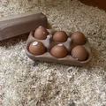 Khay đựng trứng tái sử dụng V1 (6 trứng) - Multi-use egg carton V1 / Mehrwegeierkarton V1 - Thumbnail 3