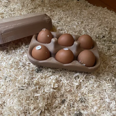 Khay đựng trứng tái sử dụng V1 (6 trứng) - Multi-use egg carton V1 / Mehrwegeierkarton V1