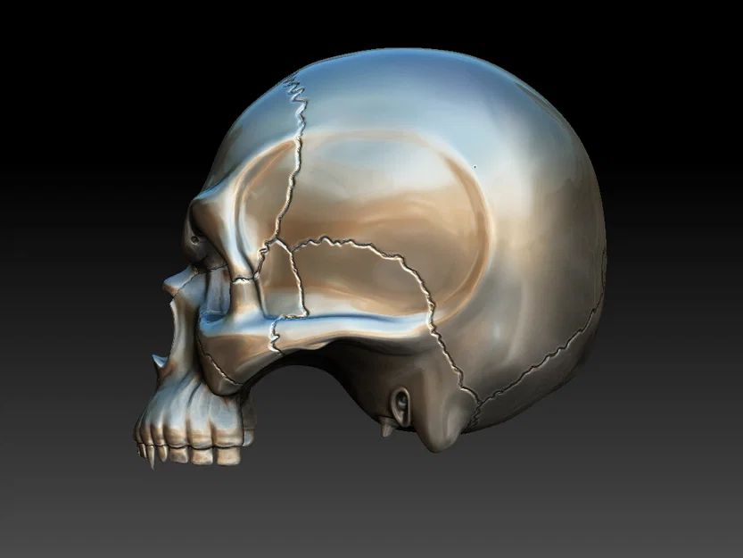 Mô hình đầu lâu Skull cách điệu đầy cá tính cho in 3D - Image 2