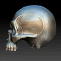 Mô hình đầu lâu Skull cách điệu đầy cá tính cho in 3D - Thumbnail 2