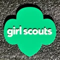 Huy Hiệu Trefoil Nam Châm Girl Scouts - Thumbnail 1