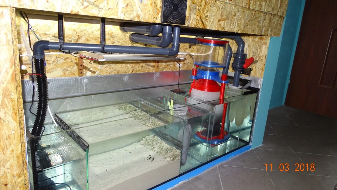 Protein Skimmer Reef Aquarium - Odpieniacz białek akwarium morskie - Image 44