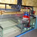 Protein Skimmer Reef Aquarium - Odpieniacz białek akwarium morskie - Thumbnail 44