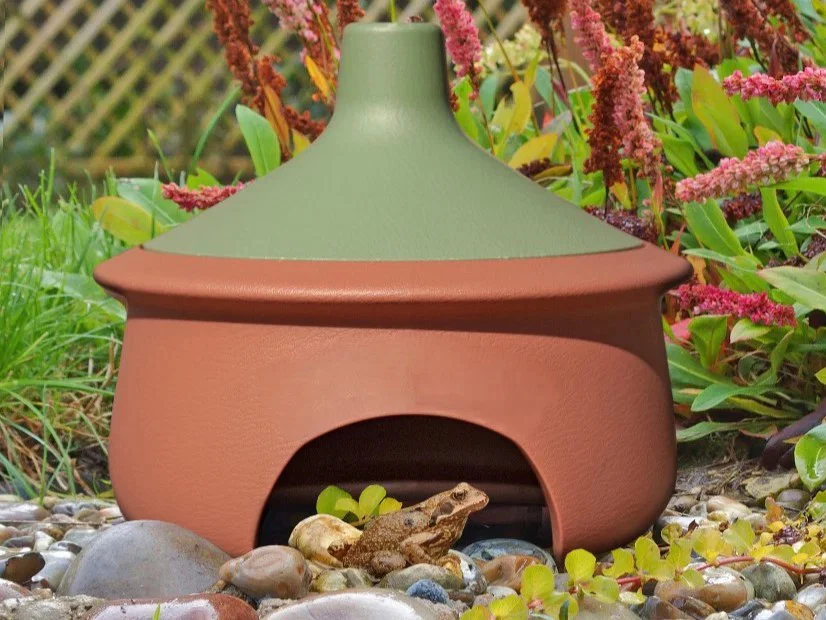 Mô hình nhà trú ẩn Frog House: Nơi ở lý tưởng cho ếch vườn - Image 1