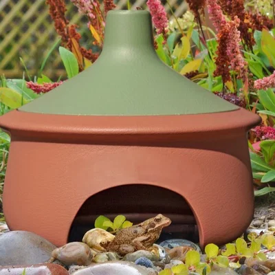 Mô hình nhà trú ẩn Frog House: Nơi ở lý tưởng cho ếch vườn