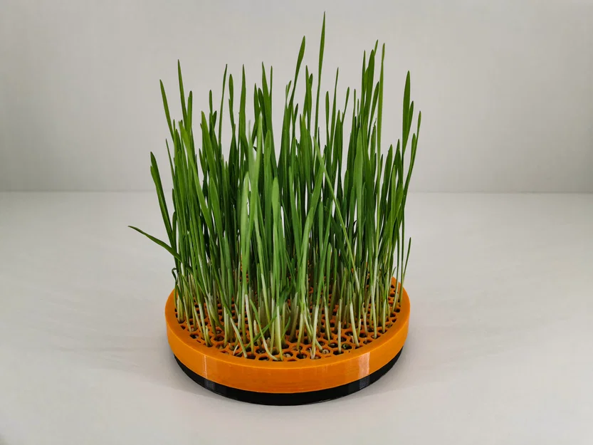 Chậu trồng cỏ mèo Cat Grass Planter (2 mảnh nắp vặn) - Image 3