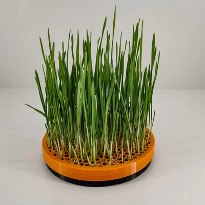 Chậu trồng cỏ mèo Cat Grass Planter (2 mảnh nắp vặn)