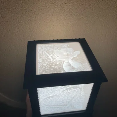 Đèn ngủ 3D Lithophane nghệ thuật - Tự in tại nhà cực đẹp