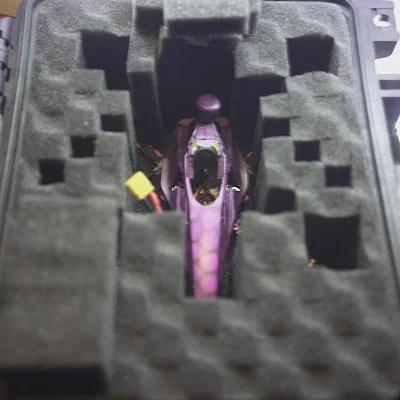 Canopy Tiny Champion FPV Racing Drone