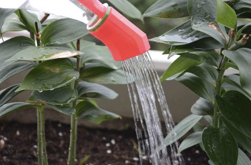 Nắp tưới cây cho chai nước (Watering bottle cap) - Image 3