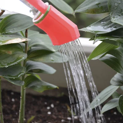 Nắp tưới cây cho chai nước (Watering bottle cap)