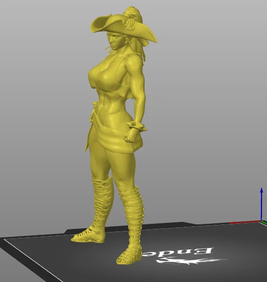 Mô hình 3D Nữ cướp biển đô vật đầy cá tính (Pirate Wrestler) - Image 1
