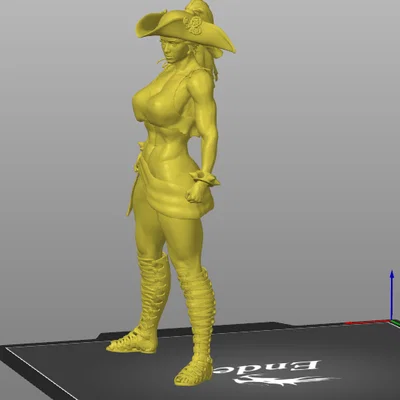 Mô hình 3D Nữ cướp biển đô vật đầy cá tính (Pirate Wrestler)