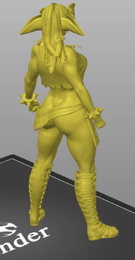 Mô hình 3D Nữ cướp biển đô vật đầy cá tính (Pirate Wrestler) - Image 3