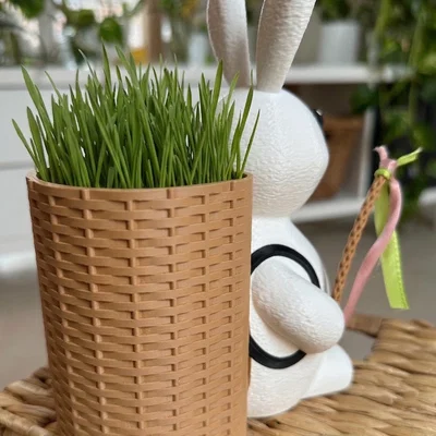 Thỏ Phục sinh - Giỏ đeo lưng đựng trứng hoặc trồng cỏ