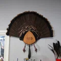 Giá đỡ chân gà tây 3D chuyên dụng cho bộ trưng bày Turkey Fan - Thumbnail 1