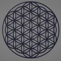 Mô hình trang trí Hoa Sự Sống (Flower of Life) in 3D - Thumbnail 1