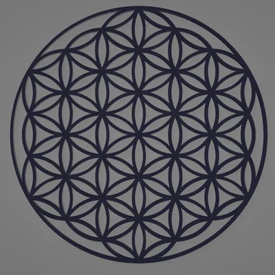 Mô hình trang trí Hoa Sự Sống (Flower of Life) in 3D