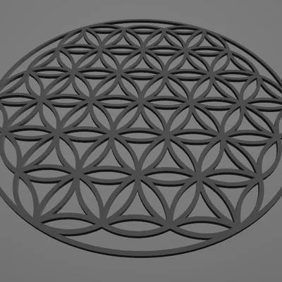 Mô hình trang trí Hoa Sự Sống (Flower of Life) in 3D