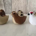 Khay đựng trứng cút 3D hình chú chim xinh xắn dễ thương - Thumbnail 1