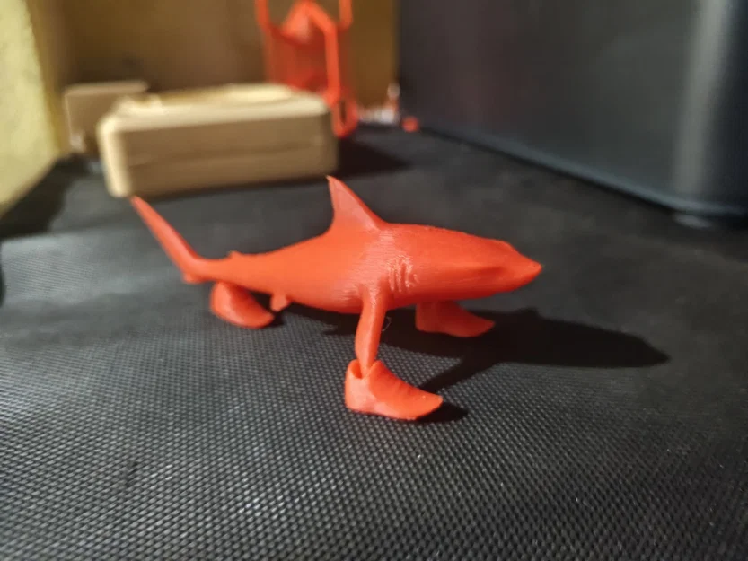Mô hình cá mập đi giày Trallallero Trallallà độc đáo cho dân in 3D - Image 2