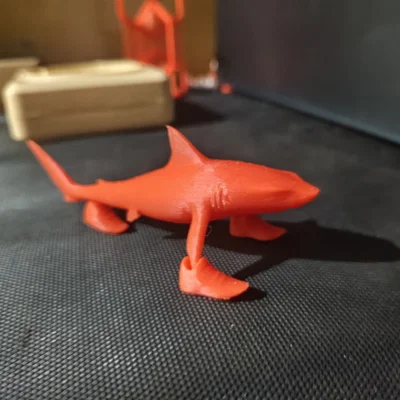Mô hình cá mập đi giày Trallallero Trallallà độc đáo cho dân in 3D