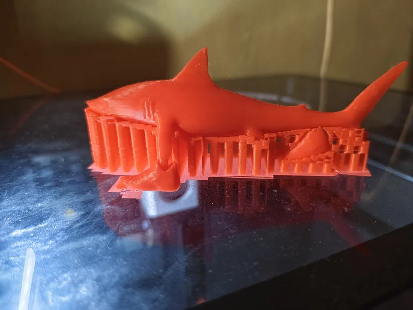 Mô hình cá mập đi giày Trallallero Trallallà độc đáo cho dân in 3D - Image 3
