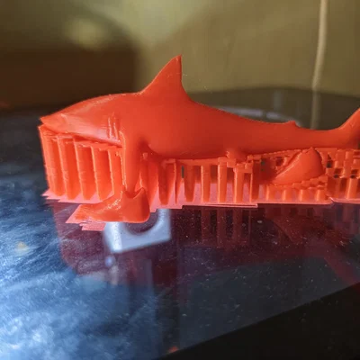 Mô hình cá mập đi giày Trallallero Trallallà độc đáo cho dân in 3D
