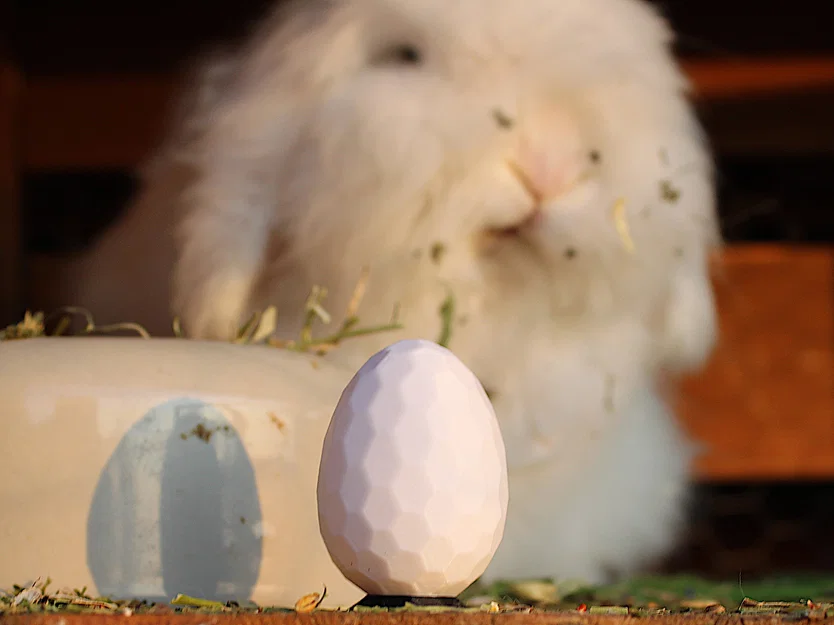 Hexegg: Hình học linh thiêng | Trứng Phục sinh lục giác - Image 1
