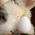 Hexegg: Hình học linh thiêng | Trứng Phục sinh lục giác - Thumbnail 2