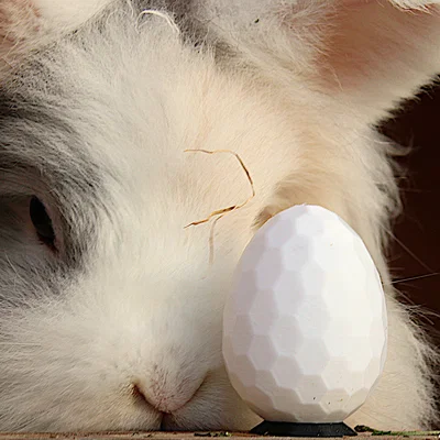 Hexegg: Hình học linh thiêng | Trứng Phục sinh lục giác