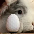 Hexegg: Hình học linh thiêng | Trứng Phục sinh lục giác - Thumbnail 4