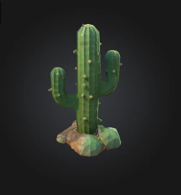 Mô hình trang trí xương rồng Cactus in 3D độc đáo cho ngôi nhà bạn - Image 1