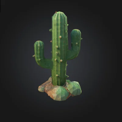 Mô hình trang trí xương rồng Cactus in 3D độc đáo cho ngôi nhà bạn