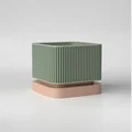 Chậu Cây 3D Tích Hợp Bình Chứa Nước Hiện Đại - Thumbnail 6