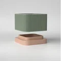 Chậu Cây 3D Tích Hợp Bình Chứa Nước Hiện Đại - Thumbnail 7