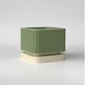 Chậu Cây 3D Tích Hợp Bình Chứa Nước Hiện Đại - Thumbnail 9