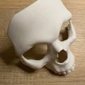 Mặt nạ đầu lâu (Skull Mask) - Thumbnail 3