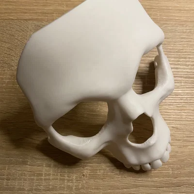 Mặt nạ đầu lâu (Skull Mask)