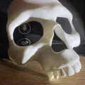Mặt nạ đầu lâu (Skull Mask) - Thumbnail 4