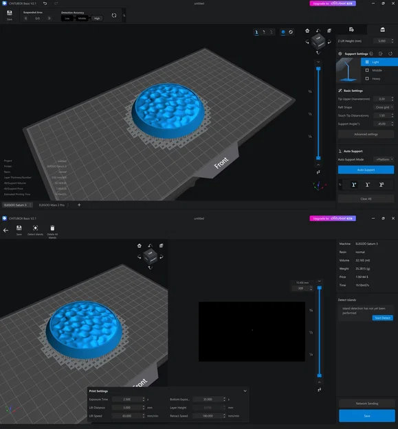 Prism Prints - Bọ rùa và hạt bồ công anh - Image 5