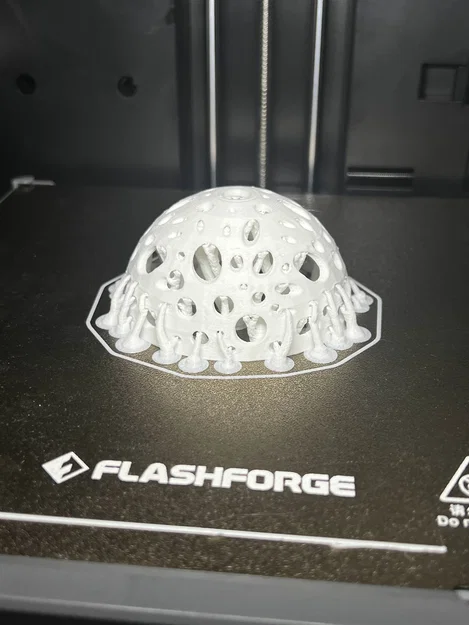 Hang Ẩn Nấp Tôm Biển Dạng Sea Sponge - Image 5