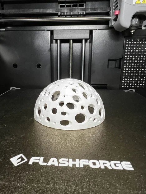 Hang Ẩn Nấp Tôm Biển Dạng Sea Sponge - Image 8