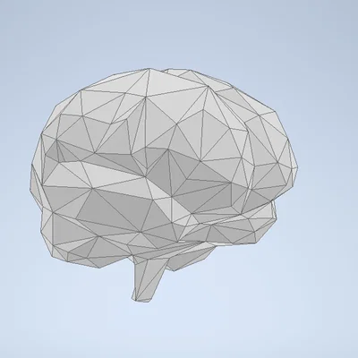 Mô hình bộ não Low Poly - Đồ trang trí in 3D độc đáo
