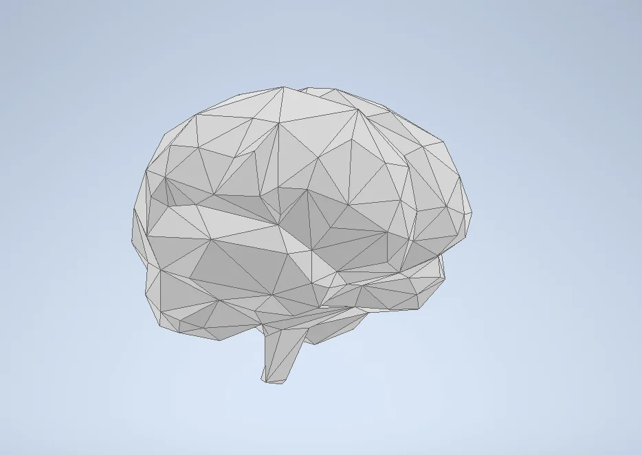 Mô hình bộ não Low Poly - Đồ trang trí in 3D độc đáo 1