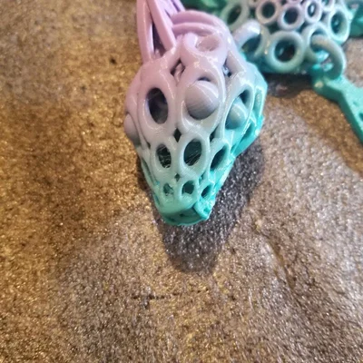 Shakaworld3d Baby Sea Turtle Dragon – Rồng Rùa Biển Baby Print-in-Place